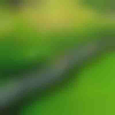 Kameni rubnjak za vrt (10 kom.) | MINIFENCE