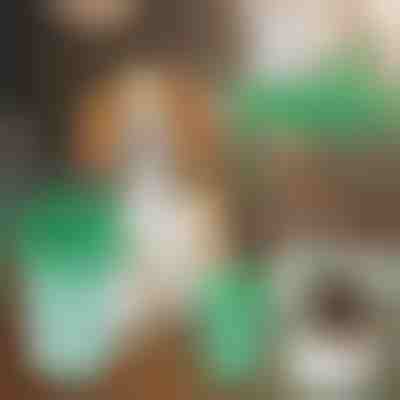 Šalica za čišćenje psećih šapa | PAWSANI