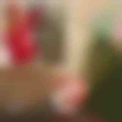 Djed Božićnjak s padobranom | SANTASWING