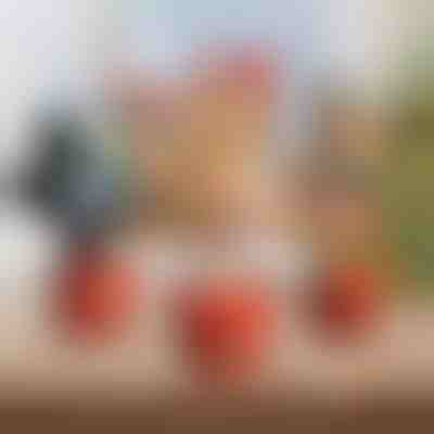 Božićna interaktivna plesna igračka | DANCETKO