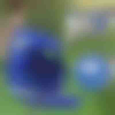 Podesivi reflektirajući pojas i povodac za kućne ljubimce | LEASHNGO