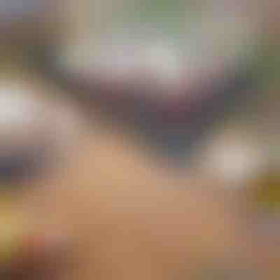 Sklopivi prijenosni roštilj | GRILLOMATE