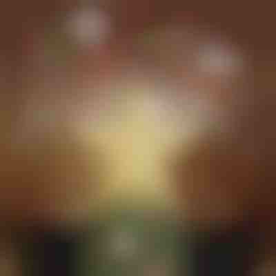 Projektor za vrh božićnog drvca | FLAKELITE