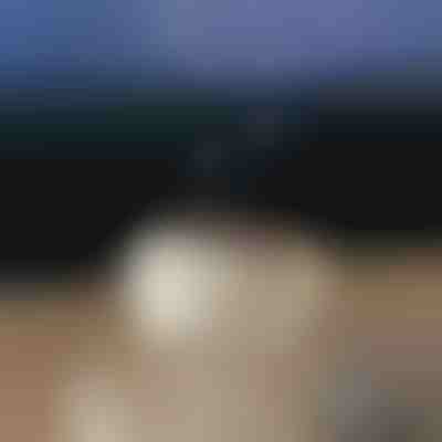 Umirujući difuzor arome | MEDUSAMIST