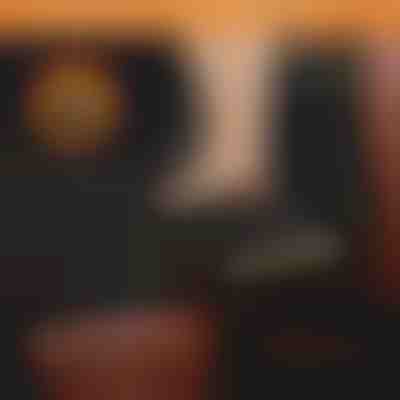 Vodootporna navlaka za stražnje sjedalo automobila za pse | CARIPET