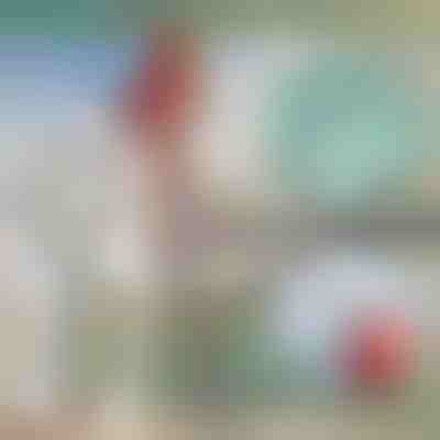 Teleskopska metalna kuka za brod | FASTDOCK