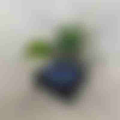 Retro Bluetooth zvučnik s projektorom oceanskih valova (14 x 15 cm) | VIVAPLAY