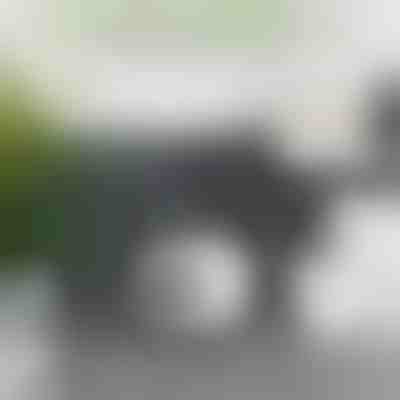 Pretvorite rezervnu rolu u ukras – 16 cm | ROLLSHEEP